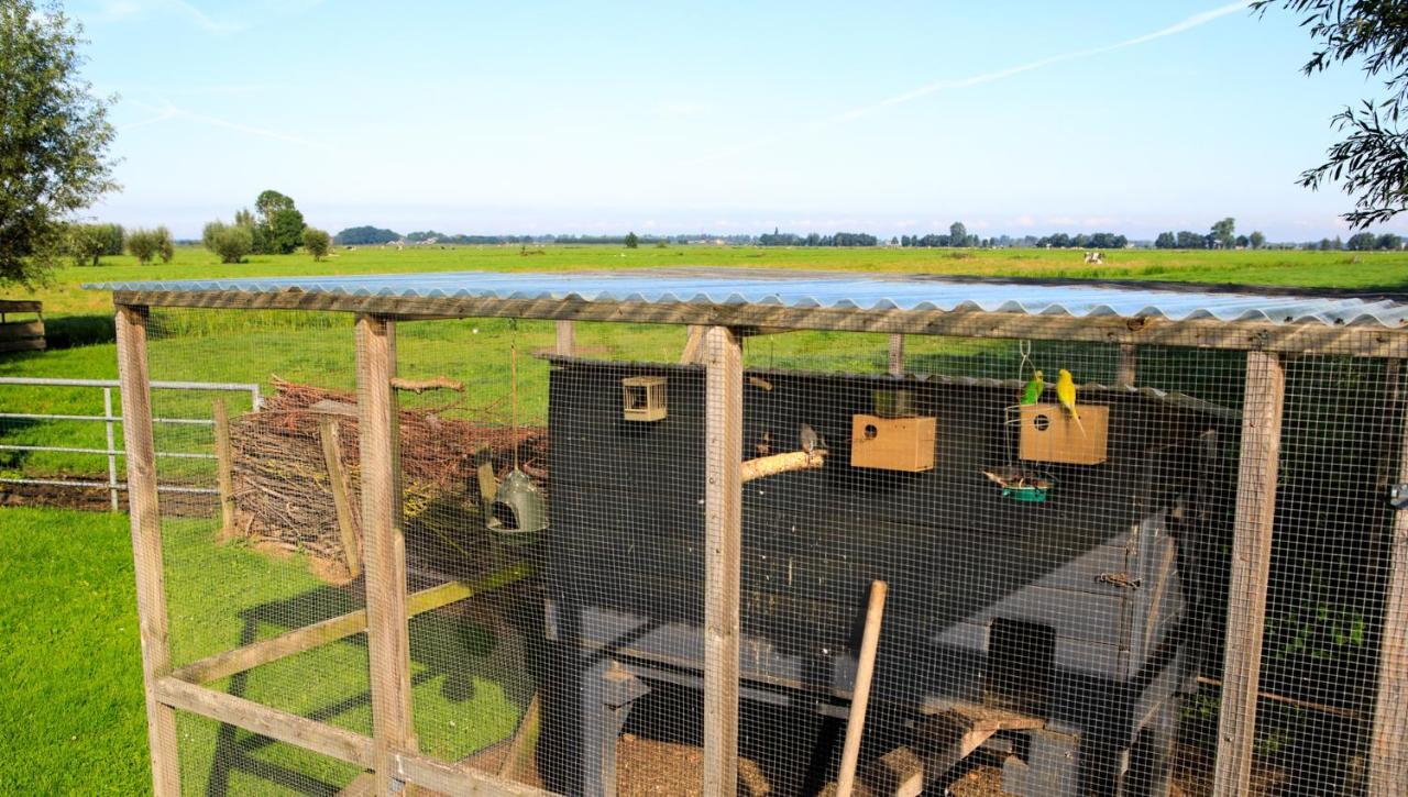 Het Groene Wout Goudriaan エクステリア 写真